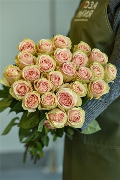 25 роз Фрутетто 60см - фото 5813