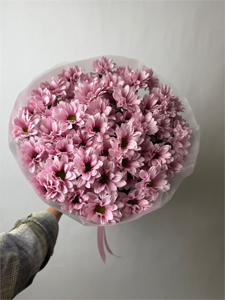 Букет кустовые хризантемы Baby Sweet 2336_D18C3 - фото 8470