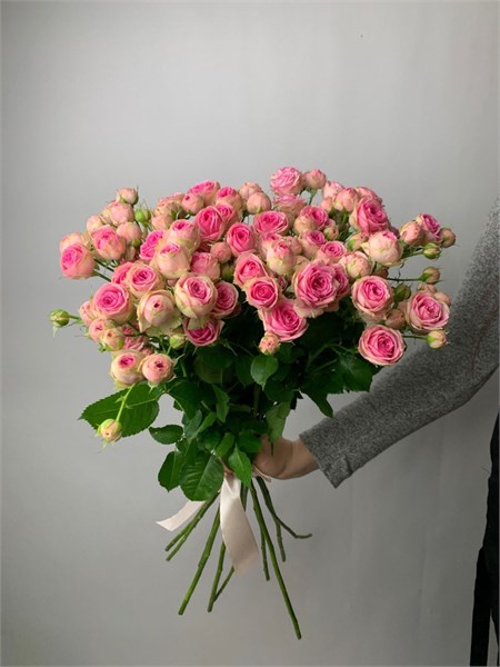 Букет из 9 кустовых роз 2341 - фото 8497