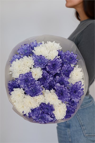 11 кустовых хризантем микс 2 2363