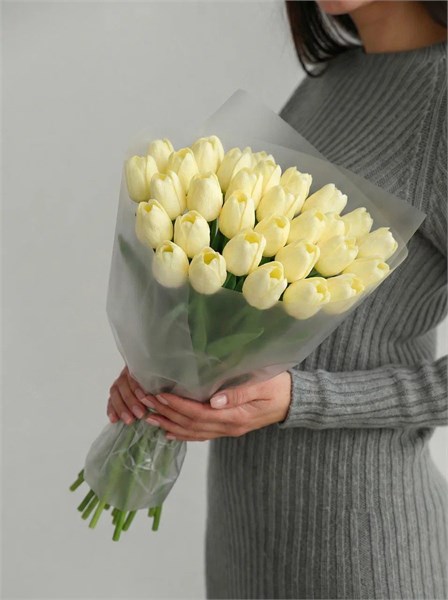 31 кремовый тюльпан 2449