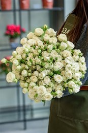 Кустовая Роза Россия белая 50 см