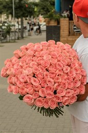 101 роза Софи Лорен 60см