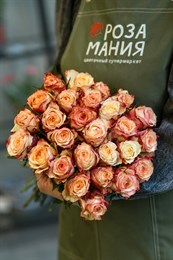 Роза Кения Крем с красным 40 см