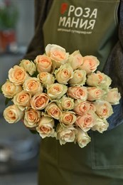 Роза Кения Крем 40 см