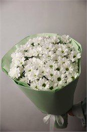 Букет из 9 ромашковых хризантем 2340