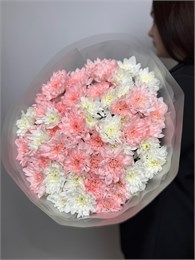 11 кустовых хризантем микс 1 2362