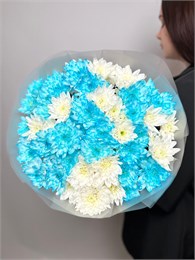 11 кустовых хризантем микс 3 2364