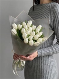 21 белый тюльпан 2441