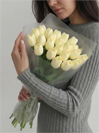 21 кремовый тюльпан 2442