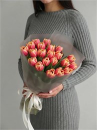 21 пионовидный тюльпан 2444