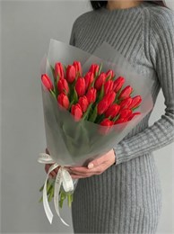 21 красный тюльпан 2445