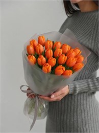 21 оранжевый тюльпан 2446