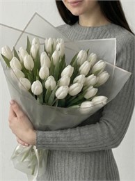 31 белый тюльпан 2448