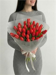 31 красный тюльпан 2452