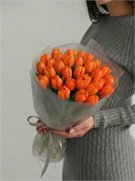 31 оранжевый тюльпан 2453