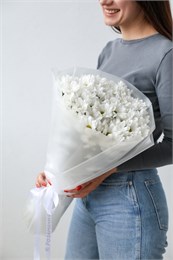 9 хризантем ромашек 2481
