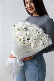 15 хризантем ромашек 2482