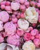 "Букет принцессы" кустовые розы, пионы и лимониум - фото 4708