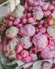 "Букет принцессы" кустовые розы, пионы и лимониум - фото 4710