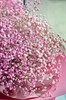 "Розовые облака" букет из гипсофилы - фото 4910