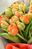 15 тюльпанов в упаковке - фото 4930