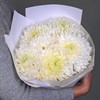 5 белых хризантем - фото 5050