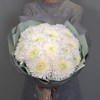 15 белых хризантем - фото 5066