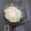 15 белых хризантем - фото 5071