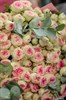 51 кустовая роза с эвкалиптом - фото 5482