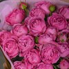 Кустовые розы в упаковке (9шт) - фото 5599
