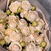 5 кустовых роз в упаковке - фото 5641