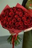 51 роза Эксплорер 60 см в упаковке - фото 5696