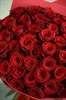 51 роза Эксплорер 60 см в упаковке - фото 5699