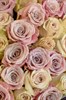 Букет микс 51 роза - фото 5760