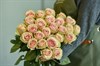 25 роз Фрутетто 60см - фото 5817