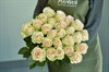 25 роз Марципан 60см - фото 5819