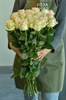 25 роз Марципан 60см - фото 5822