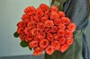 41 роза Хай Оранж 60см - фото 5830
