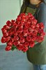 51 роза Палома 60см - фото 5833