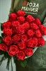 25 роз Альтамира 70см - фото 5841