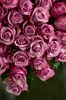 51 роза Дип Перпл 60см - фото 5850