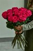 25 роз Фулл Монти 60см - фото 5855