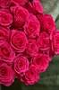 25 роз Фулл Монти 60см - фото 5856