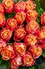 21 роза 3D 60см - фото 5863