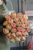 25 Роз Софи Лорен 60см - фото 6342