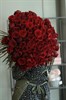101 Роза Ред Наоми 70см - фото 6358