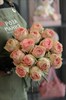 Роза Софи Лорен - фото 6424