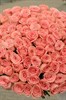 101 роза Софи Лорен 60см - фото 6504