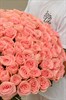 101 роза Софи Лорен 60см - фото 6507
